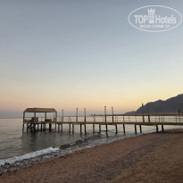 фото из отзыва ID 2730279