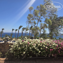 фото из отзыва ID 2730279