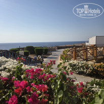 фото из отзыва ID 2730279