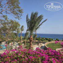 фото из отзыва ID 2730279