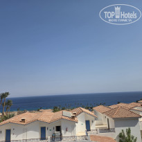 фото из отзыва ID 2730279