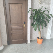 фото из отзыва ID 2730295