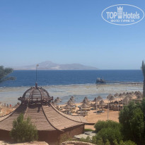 фото из отзыва ID 2730310