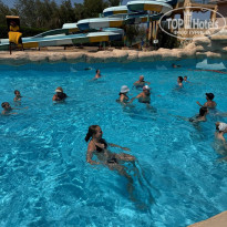 фото из отзыва ID 2730310