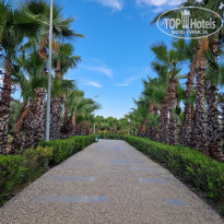 фото из отзыва ID 2730318