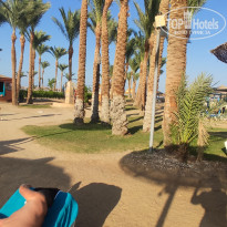 фото из отзыва ID 2730344