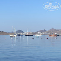 фото из отзыва ID 2730358