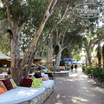 фото из отзыва ID 2730358