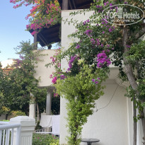 фото из отзыва ID 2730358