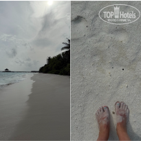 фото из отзыва ID 2730361