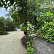 фото из отзыва ID 2730361