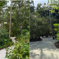 фото из отзыва ID 2730361