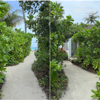 фото из отзыва ID 2730361