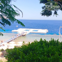 фото из отзыва ID 2730390