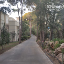 фото из отзыва ID 2730403