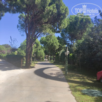 фото из отзыва ID 2730403