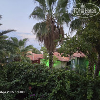 фото из отзыва ID 2730406