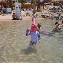 фото из отзыва ID 2730411