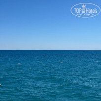 фото из отзыва ID 2730412