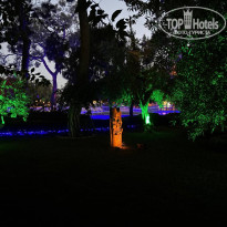 фото из отзыва ID 2730412