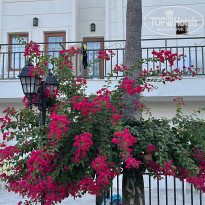 фото из отзыва ID 2730434