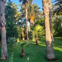 фото из отзыва ID 2730435