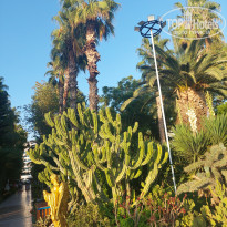 фото из отзыва ID 2730435