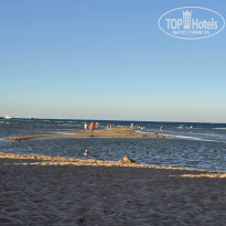 фото из отзыва ID 2730455