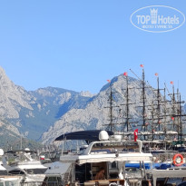 фото из отзыва ID 2730474