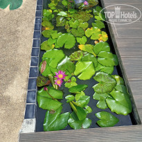 фото из отзыва ID 2730482