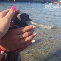 фото из отзыва ID 2730481