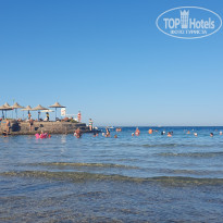 фото из отзыва ID 2730481