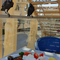 фото из отзыва ID 2730481