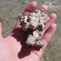 фото из отзыва ID 2730481