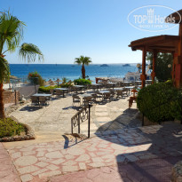 фото из отзыва ID 2730481