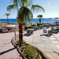 фото из отзыва ID 2730481