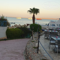 фото из отзыва ID 2730481