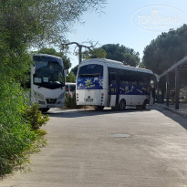 фото из отзыва ID 2730488