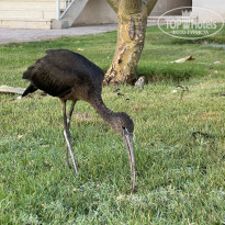 фото из отзыва ID 2730509