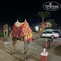 фото из отзыва ID 2730509