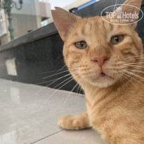 фото из отзыва ID 2730509