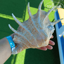 фото из отзыва ID 2730556