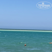 фото из отзыва ID 2730566