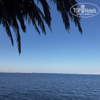 фото из отзыва ID 2730577