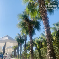 фото из отзыва ID 2730587