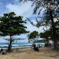 фото из отзыва ID 2730596