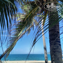 фото из отзыва ID 2730616