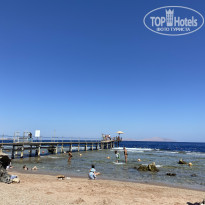 фото из отзыва ID 2730621