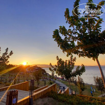 фото из отзыва ID 2730622