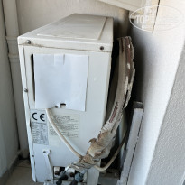 фото из отзыва ID 2730626